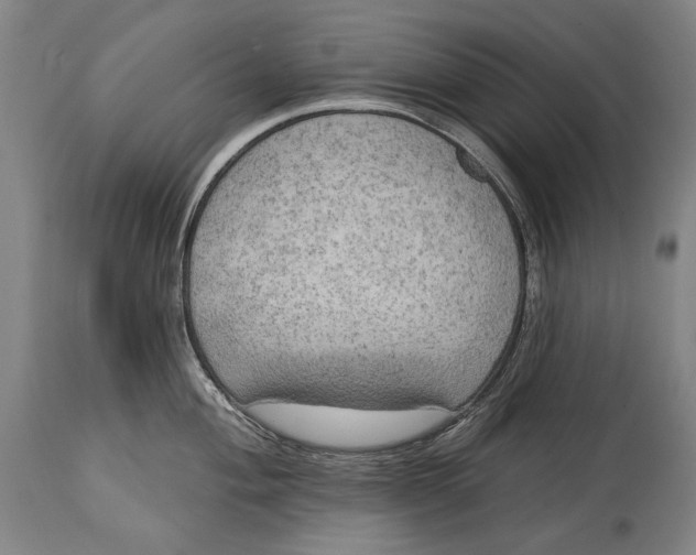 X0000114611004200911101148