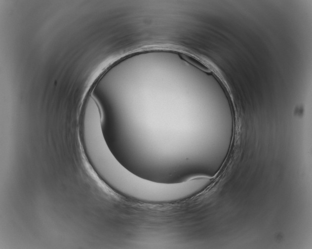 X0000114611005200911101148