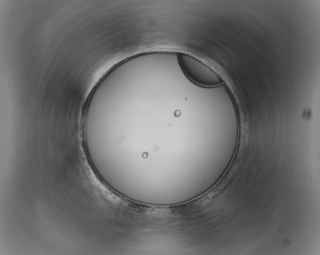 X0000114611006200911101148