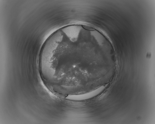 X0000114611007200911101148