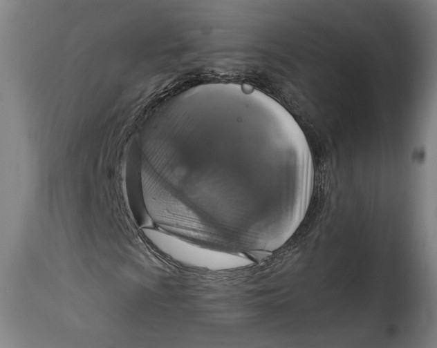 X0000114611009200911101147