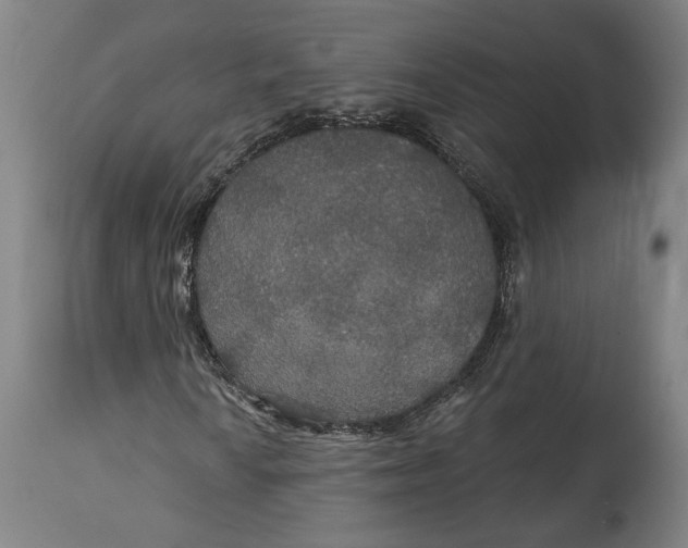 X0000114611010200911101147