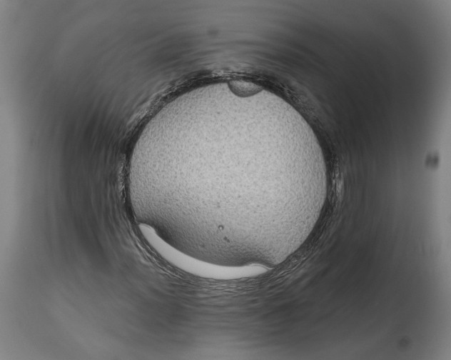 X0000114611012200911101147