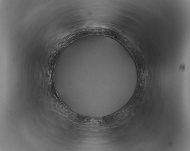 X0000114611013200911101147