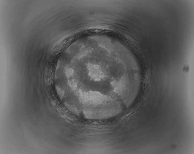 X0000114611014200911101147