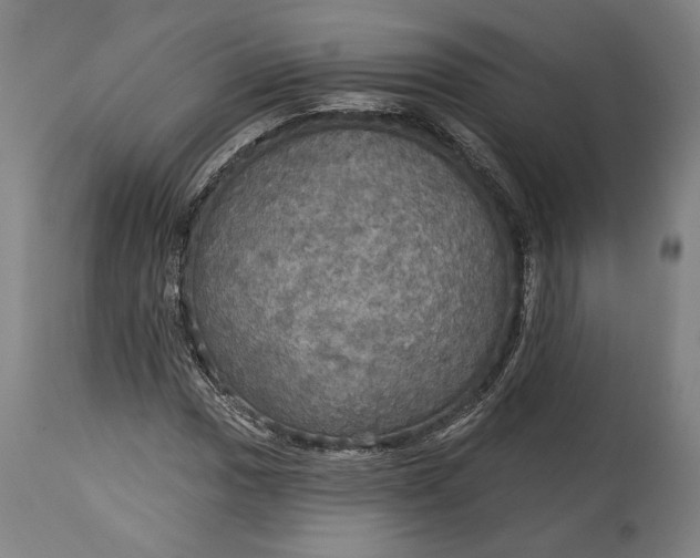 X0000114611017200911101147