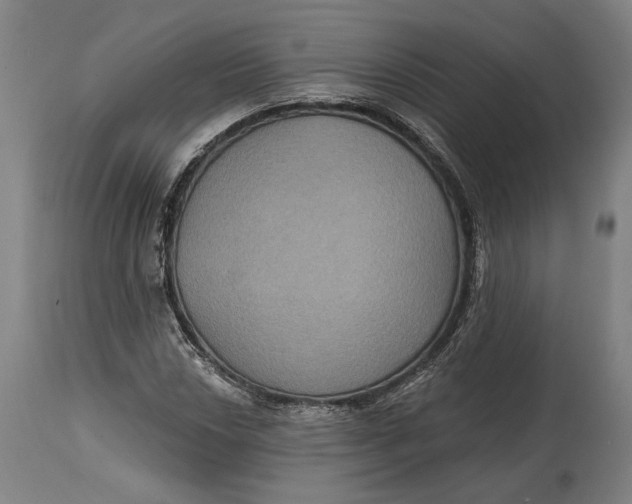 X0000114611018200911101147