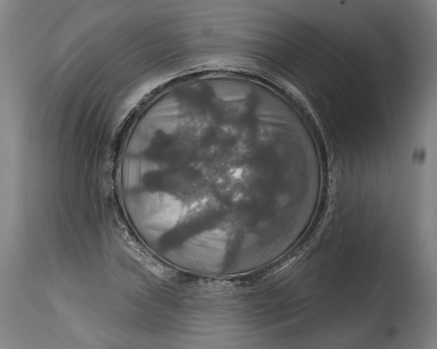 X0000114611019200911101147