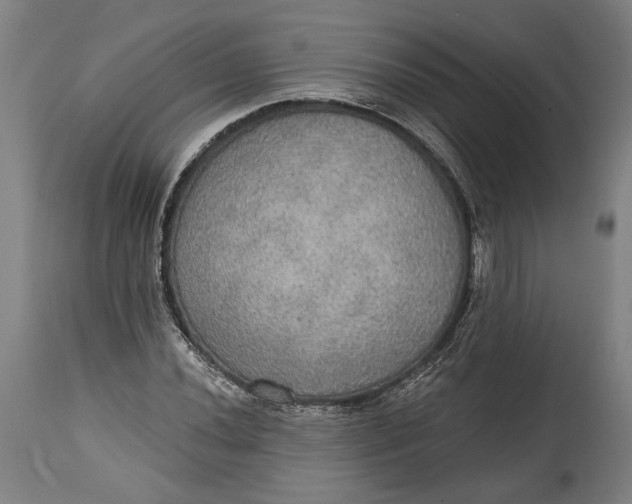 X0000114611020200911101147