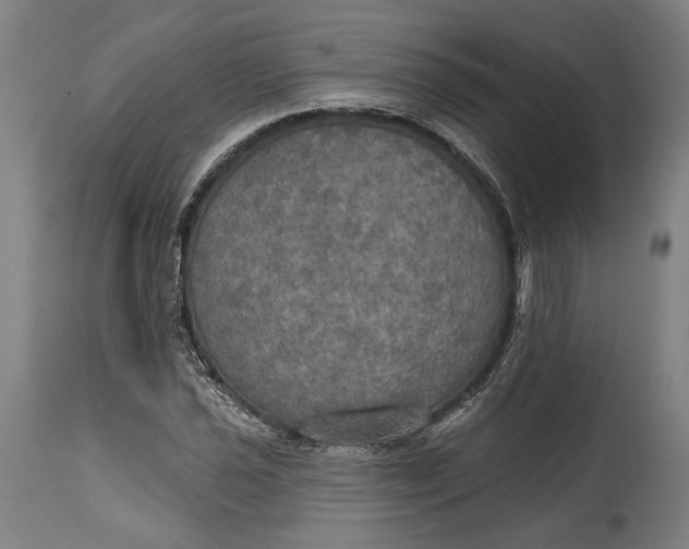 X0000114611021200911101147