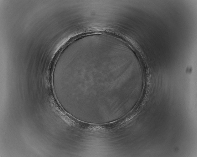 X0000114611023200911101147