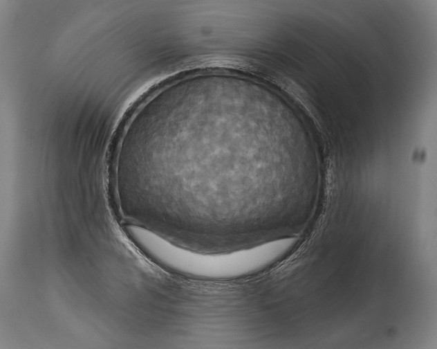 X0000114611024200911101147