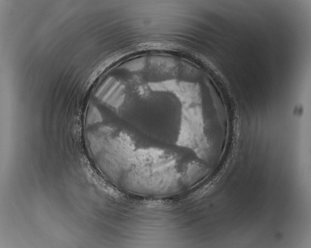 X0000114611025200911101147