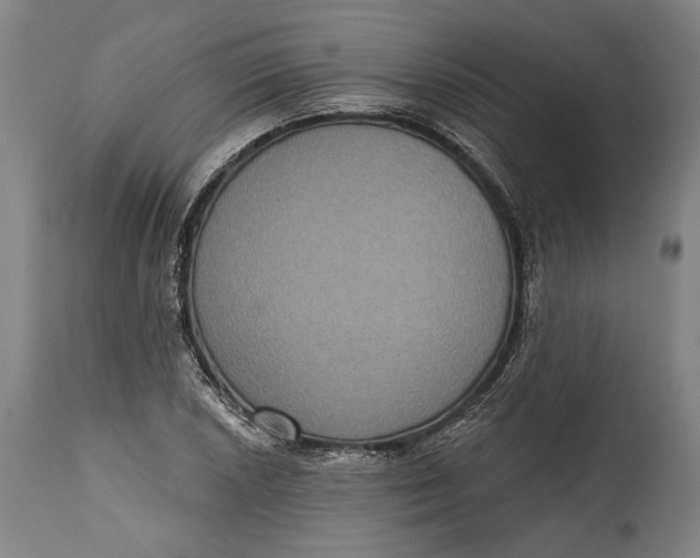 X0000114611026200911101147