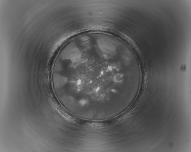 X0000114611027200911101147