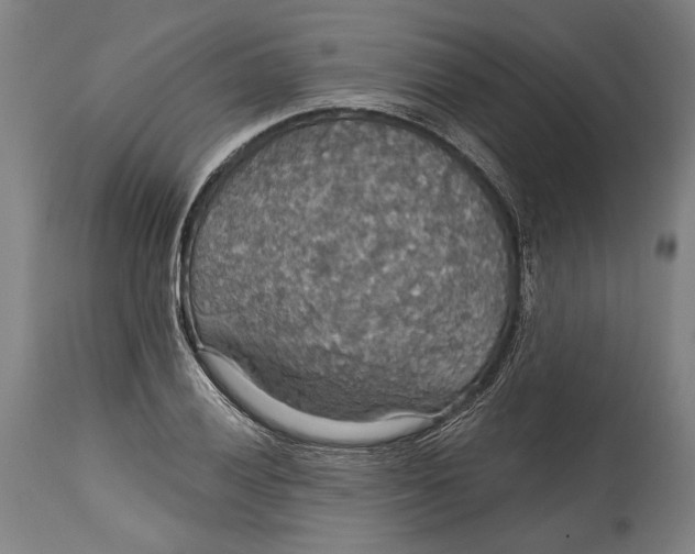 X0000114611028200911101147