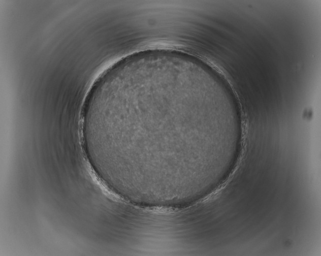 X0000114611029200911101147