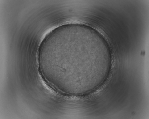 X0000114611030200911101147