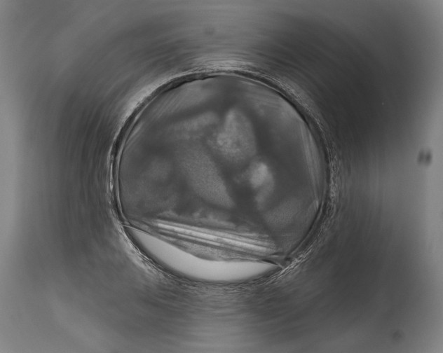 X0000114611031200911101147