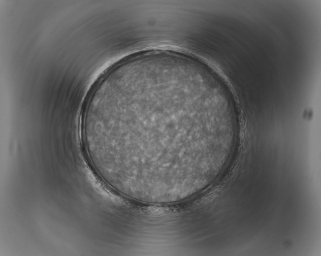 X0000114611032200911101147