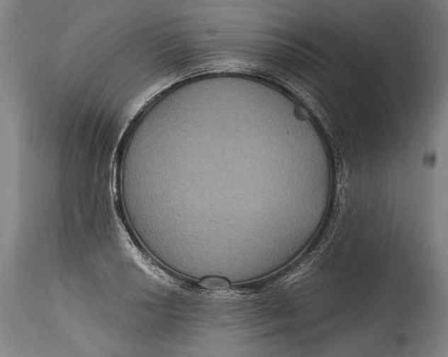 X0000114611034200911101147