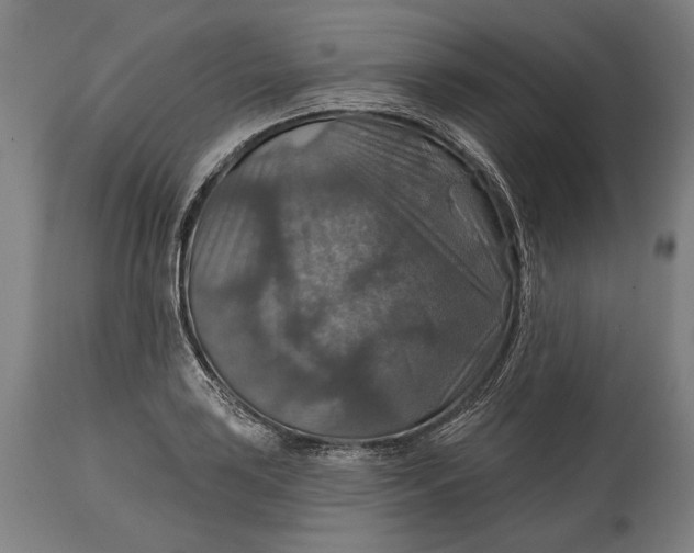 X0000114611035200911101147