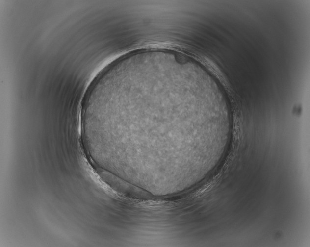 X0000114611036200911101147