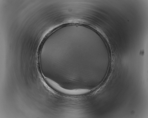 X0000114611037200911101147