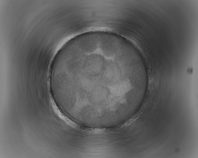 X0000114611038200911101147