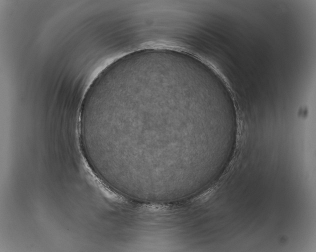 X0000114611040200911101148