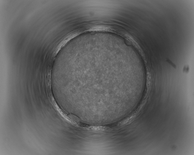 X0000114611041200911101148