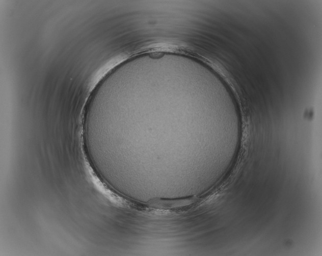 X0000114611042200911101148