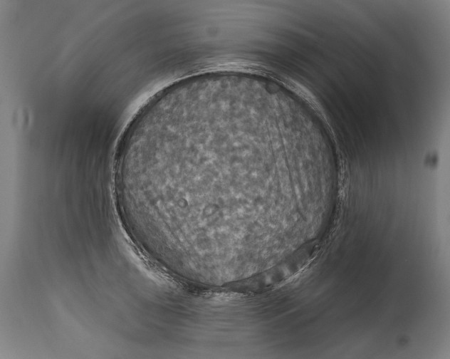 X0000114611043200911101148