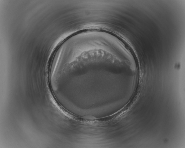 X0000114611045200911101148