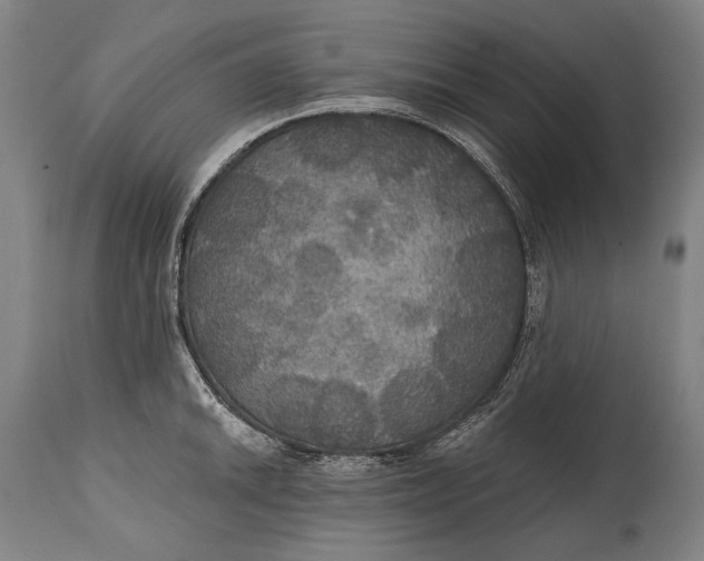 X0000114611046200911101148