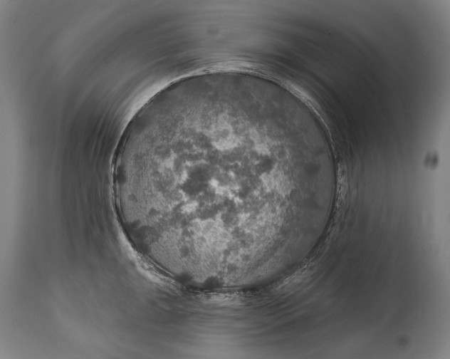 X0000114611047200911101148