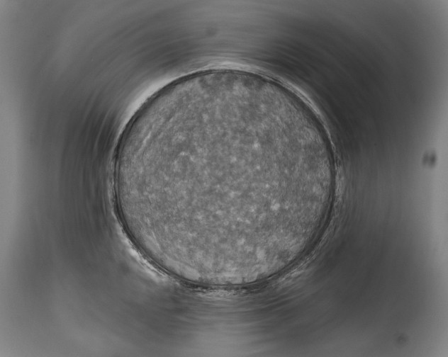 X0000114611048200911101148