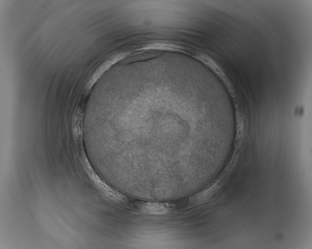 X0000114611049200911101148