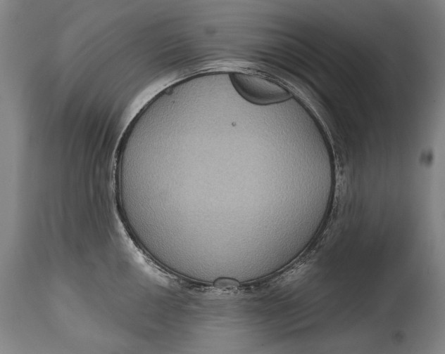 X0000114611050200911101148