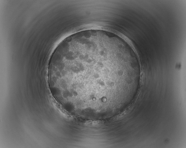 X0000114611051200911101148