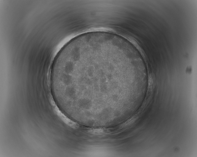 X0000114611054200911101148