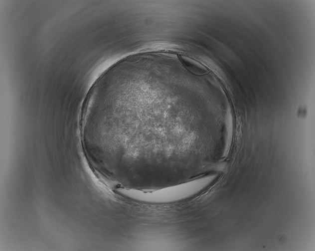 X0000114611055200911101148