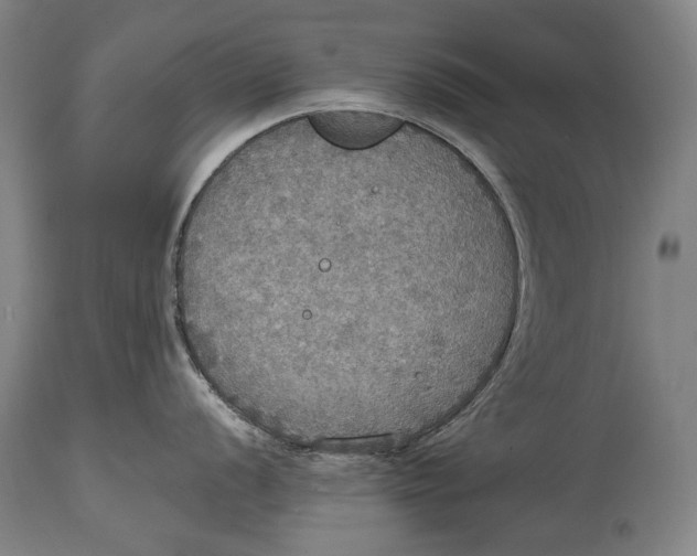 X0000114611056200911101148