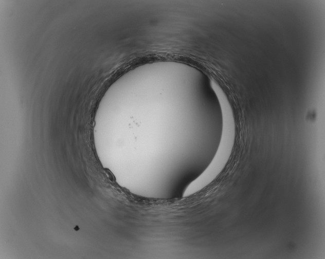 X0000114611057200911101147