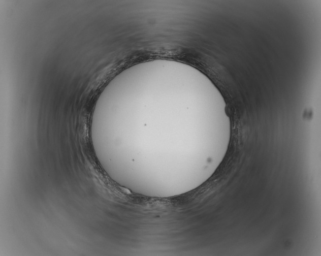 X0000114611058200911101147