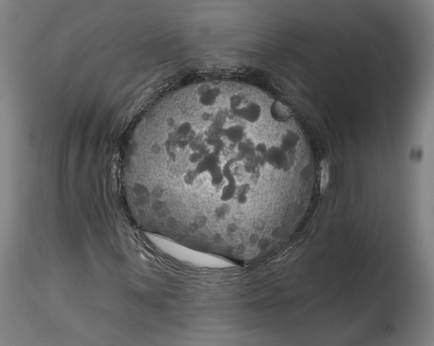 X0000114611059200911101147