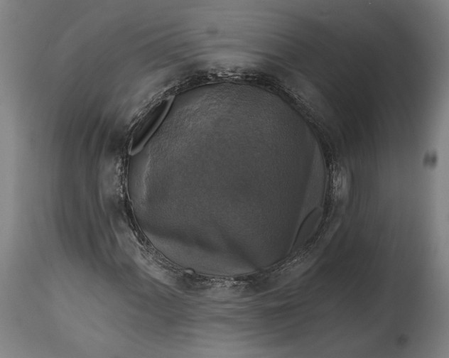 X0000114611060200911101147