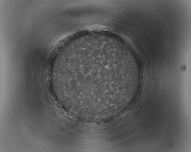 X0000114611063200911101147