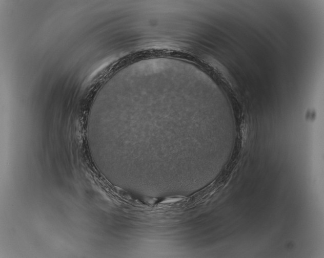 X0000114611064200911101147