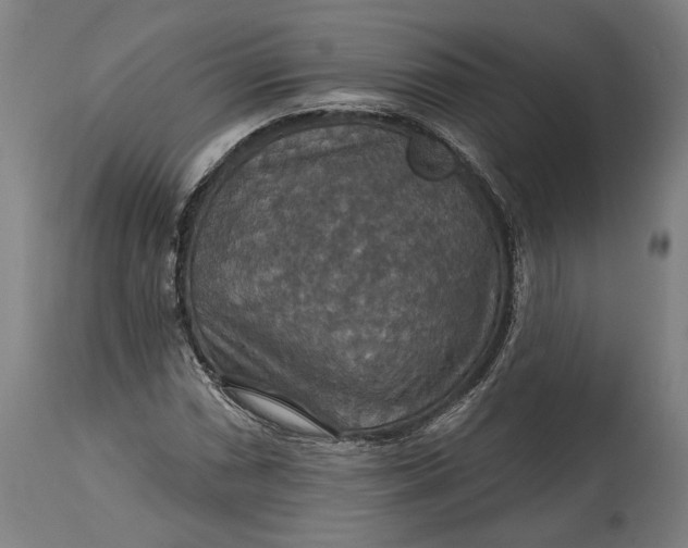 X0000114611066200911101147